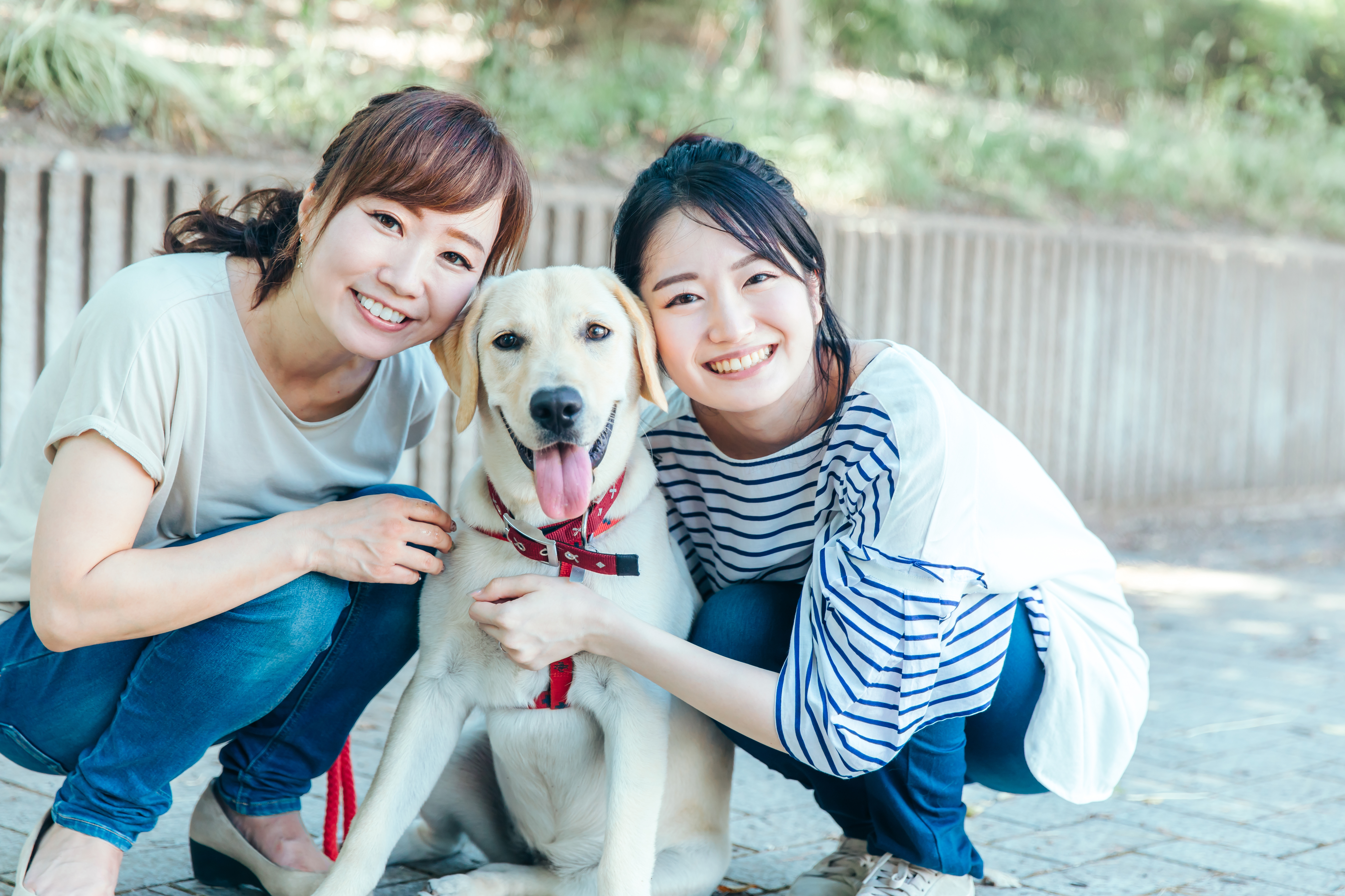 家族と犬の写真